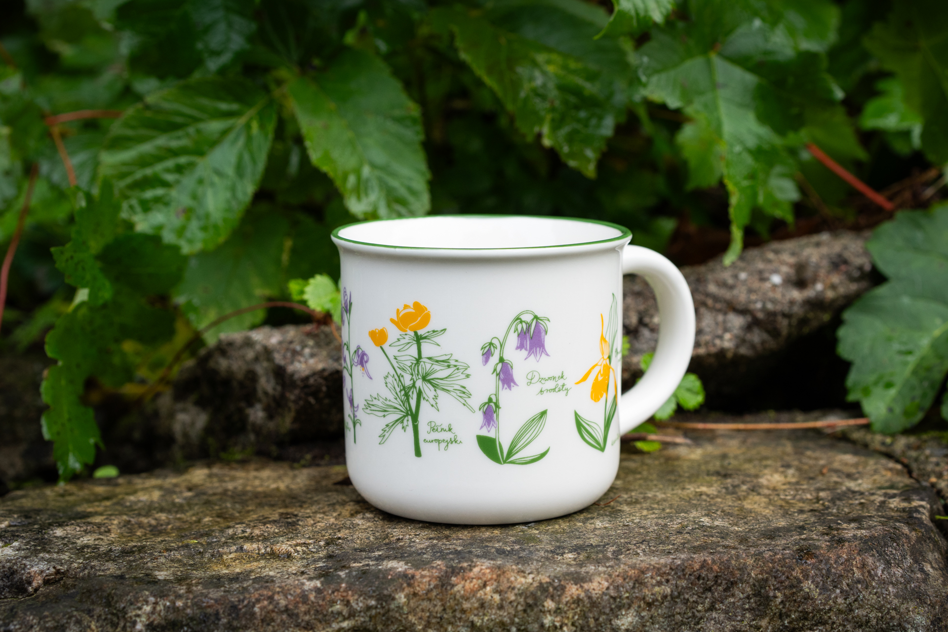 Kubek ceramiczny Kwiaty ziemi kłodzkiej – Galeria Kotlina